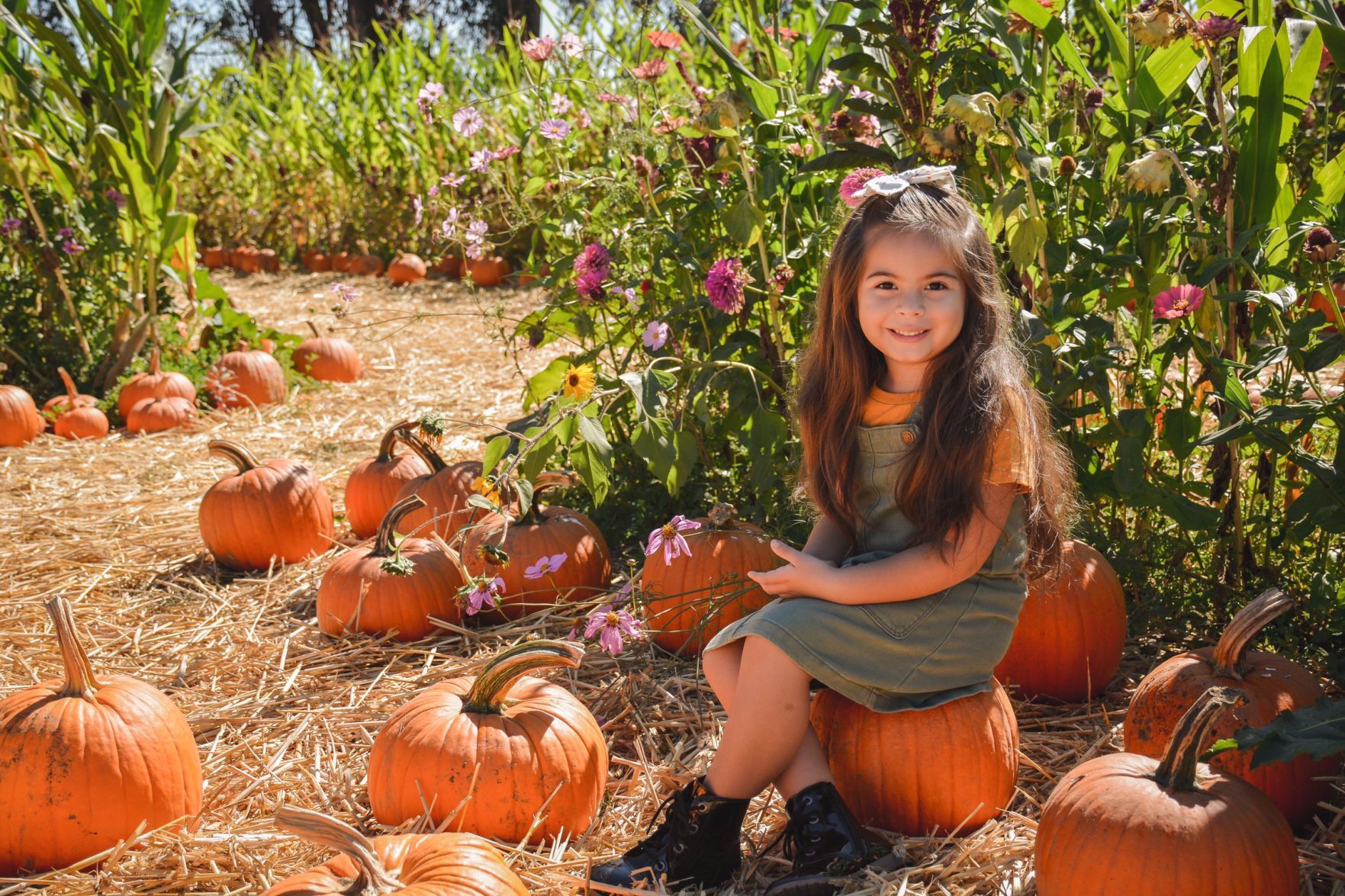 Faces and Places, October 25